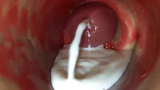 Porn Gay Box 1